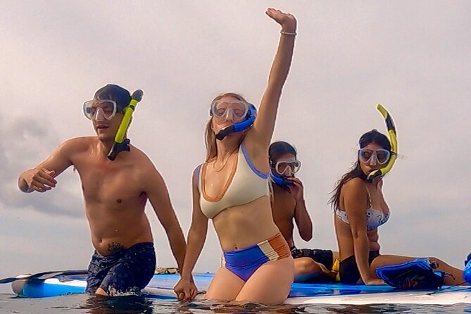 Snorkeling for Non-Swimmers Guided Tour - Wailea Beach - Real-Life Success Stories and Highlights