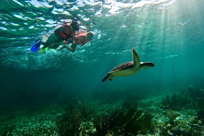 Snorkeling Guided Activity in Puerto Morelos Mexico - Snorkeling Near Cancun in Puerto Morelos National Park