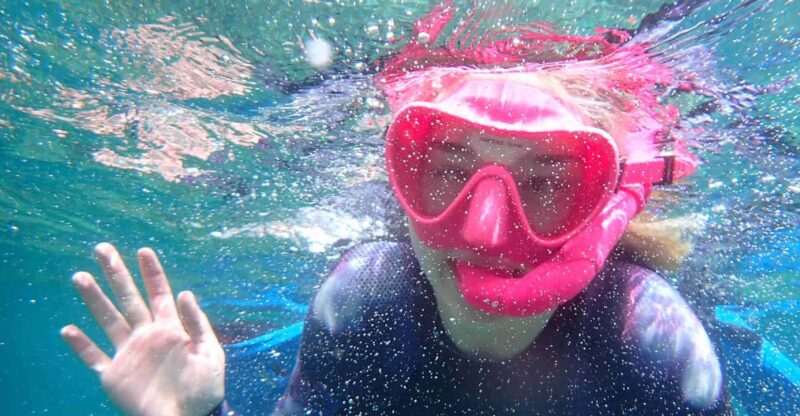 Snorkeling guided tours for tha all family! - Booking and Cancellation Policies