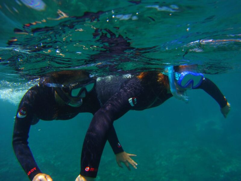 Snorkeling in a Volcanic Bay - Exploring the Marine Life of Los Abrigos Bay