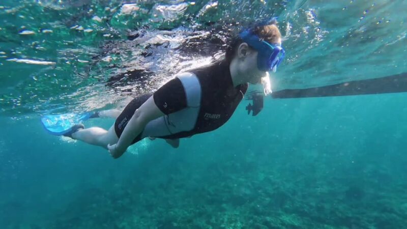 Snorkeling in a Volcanic Bay - Who Will Enjoy This Tour Most?