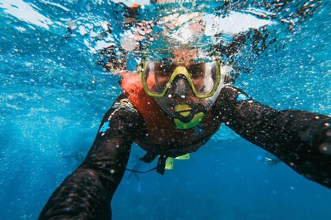 Snorkeling in Gran Canaria with Hotel Pick-up - High-Quality Equipment, Including Wetsuits, for All Participants