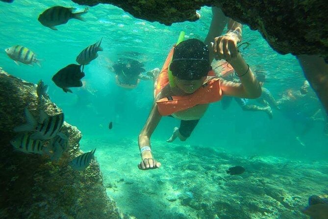 Snorkeling in Isla Mujeres and Underwater Museum - Isla Mujeres Snorkeling and Underwater Museum: Starting Point and Logistics