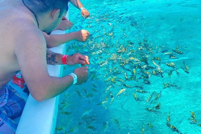 Snorkeling in Isla Mujeres and Underwater Museum - The Guides and Customer Service Experience