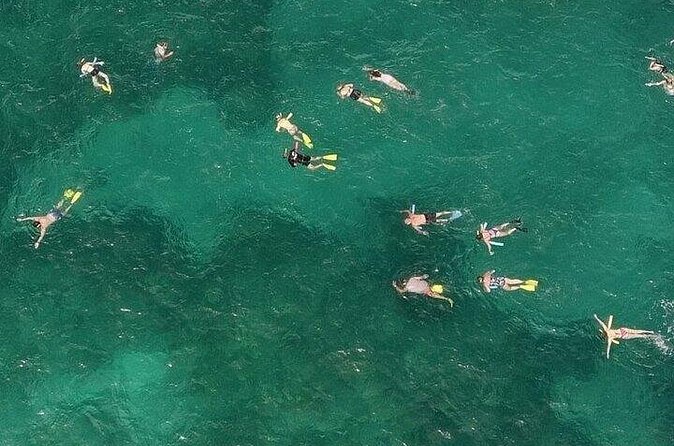 Snorkeling in the Florida Keys - Flexibility with Cancellation and Weather Policies