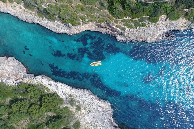 Snorkeling in the Natural Park of Mallorca by boat - Cost and Value for Mallorca Coastal Tours