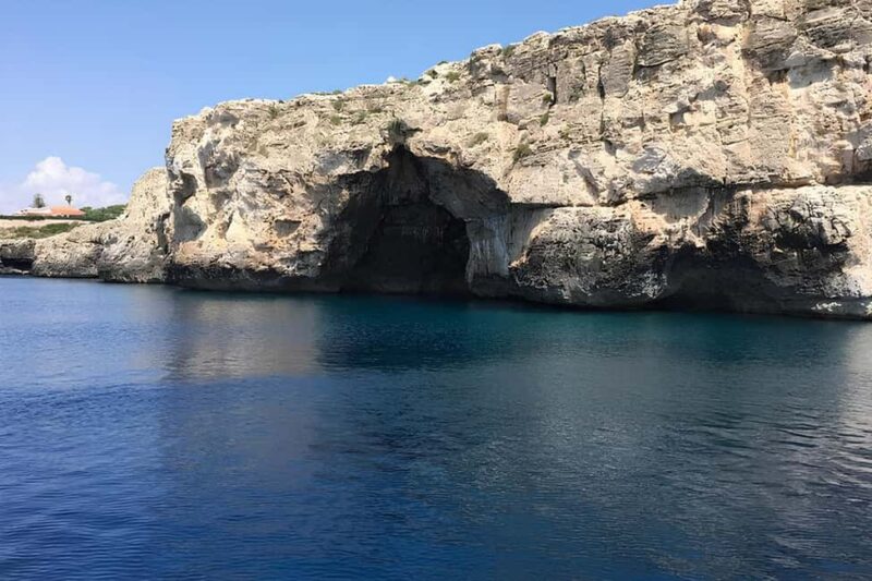 Snorkeling in the Plemmirio marine protected area (Siracusa) - Final Thoughts on the Plemmirio Snorkeling Tour