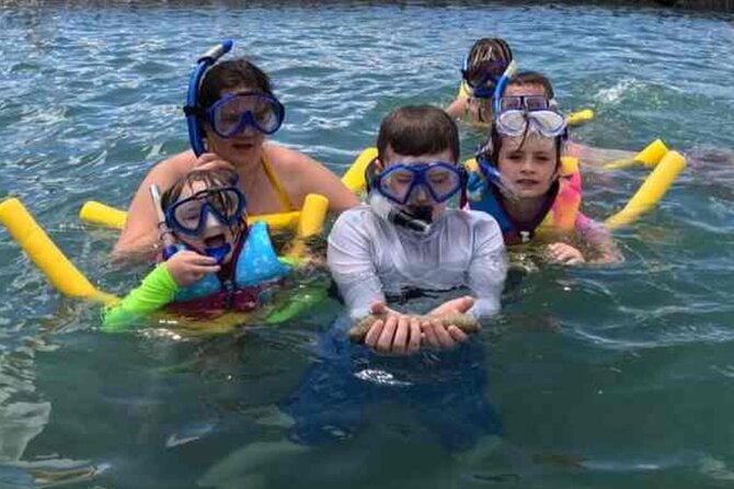 Snorkeling in Waikiki Many Fish All Levels Free Video & Pics! - The Inclusion of Personalized Photos and Videos