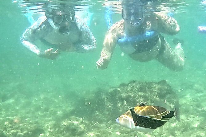 Snorkeling in Waikiki Many Fish All Levels Free Video & Pics! - Flexibility and Private Options