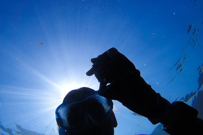 Snorkeling - Marine Park Discovery - Discover the Underwater World of Arrabida Natural Park for $69.39