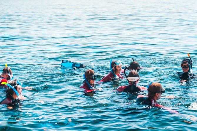 Snorkeling - Marine Park Discovery - The Guide’s Role in a Memorable Experience