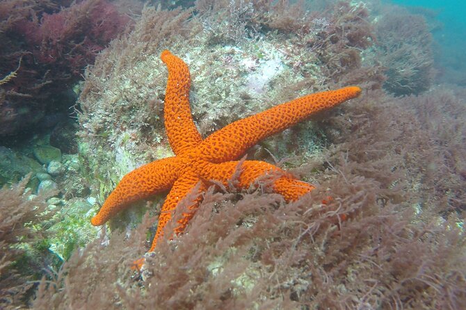Snorkeling - Marine Park Discovery - Customer Service and Booking Flexibility