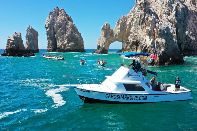 Snorkeling or Swimming with Sharks in Cabo San Lucas - Realistic Expectations Based on Reviews