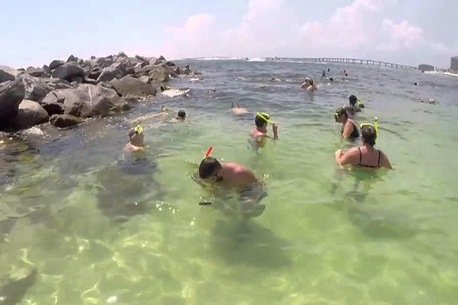 Snorkeling, Shelling & Eco Excursion - Meet Friendly and Knowledgeable Crew