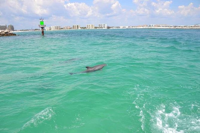 Snorkeling, Shelling & Eco Excursion - Safety Policies and Cancellation Options