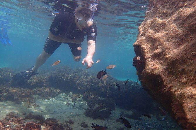 Snorkeling Tour - Practical Tips and Physical Requirements