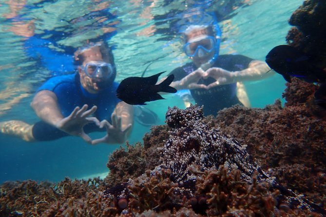 Snorkeling Tour - Booking, Cancellation, and Weather Considerations