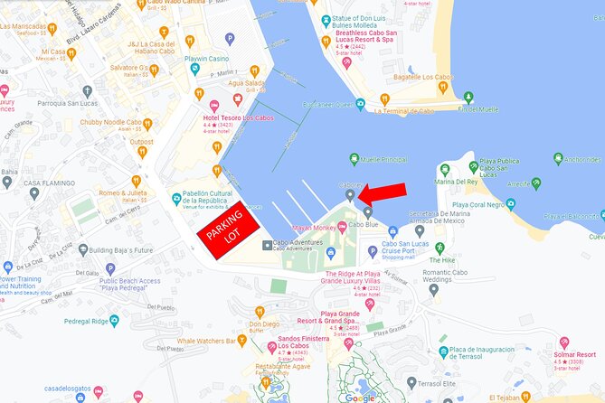 Snorkeling tour in Cabo San Lucas - Lunch and Drinks: A Relaxing Break on the Boat