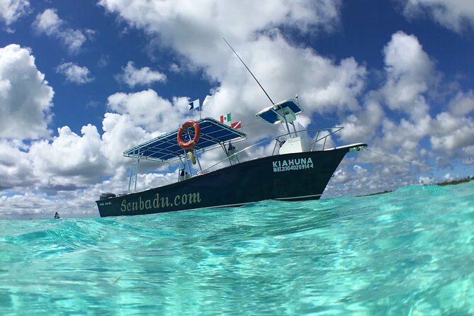 Snorkeling Tour in COZUMEL QROO - Discover the Best Snorkeling Spots in Cozumel with a Private Tour