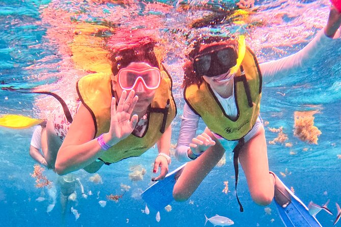 Snorkeling Tour in COZUMEL QROO - Meeting Point and Logistics