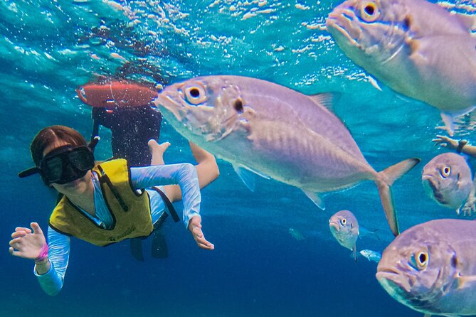 Snorkeling Tour in COZUMEL QROO - Pacing and Duration of the Tour