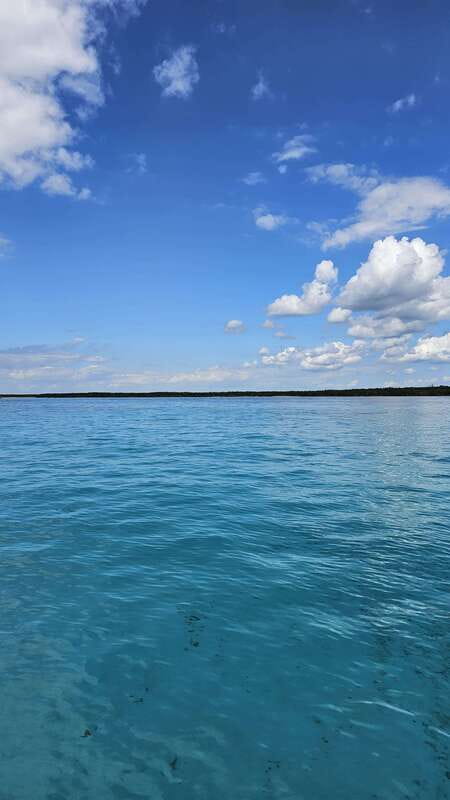 Snorkeling Tour in COZUMEL - What Marine Life to Expect