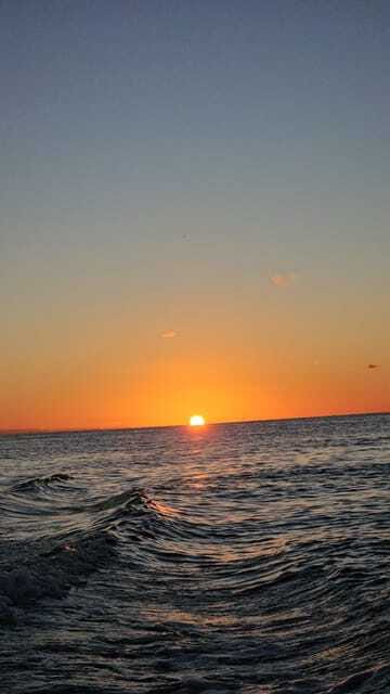 Snorkeling Tour in COZUMEL - The Experience with Guides and Food