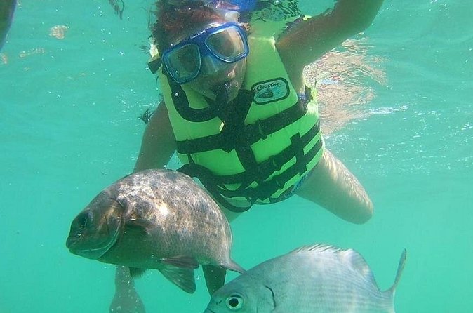 Snorkeling Tour in Ixtapa Island - Comparing This Tour to Other Ixtapa Experiences
