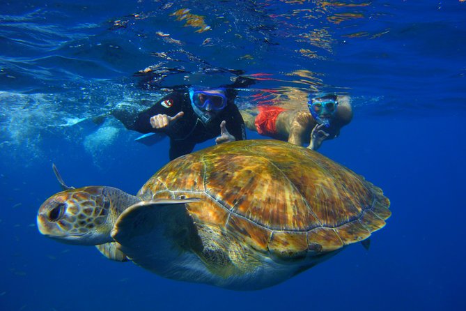 Snorkeling Tour with Sea Turtles and Stingrays - Cruising the Volcanic Coast of Tenerife