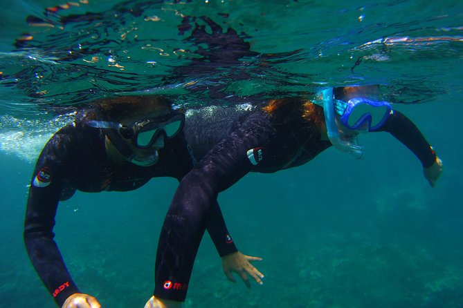 Snorkeling Tour with Sea Turtles and Stingrays - Photos and Keepsakes During the Snorkeling Trip