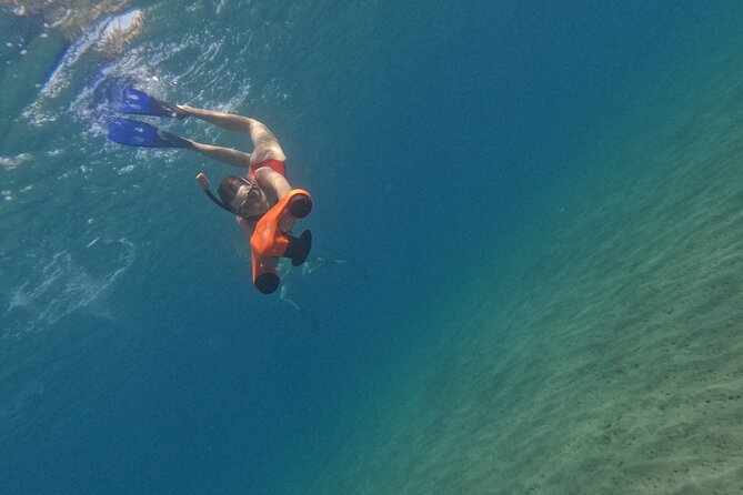 snorkeling ,Turtle Watching in Cyprus - The Guides and Their Knowledge