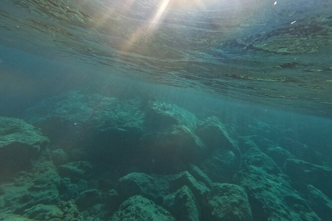 snorkeling ,Turtle Watching in Cyprus - Food, Drink, and Additional Perks