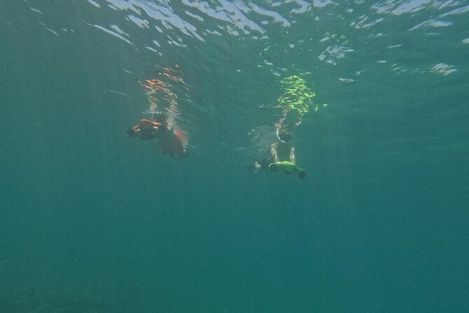 snorkeling ,Turtle Watching in Cyprus - Physical Requirements and Accessibility