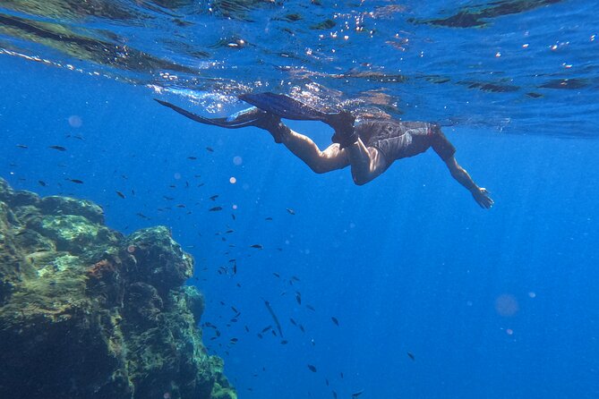 Snorkeling with a Professional Instructor in Tenerife - Snorkeling in Tenerife’s Calm Marine Environment