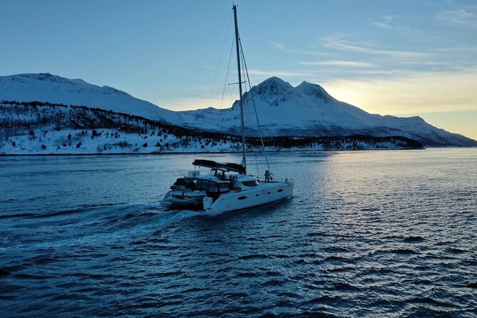 Snorkeling with Orcas In Norway, 4 days All-Inclusive expedition - Meeting Point and Tour Logistics in Tromsø