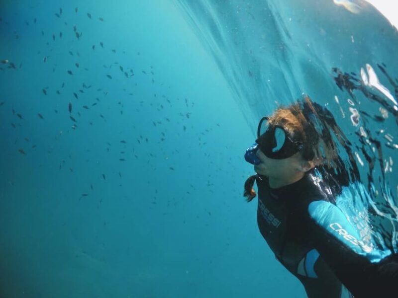 Snorkelling & Marine Biology Experience in the Cinque Terre - Equipment and Practical Details for a Smooth Experience