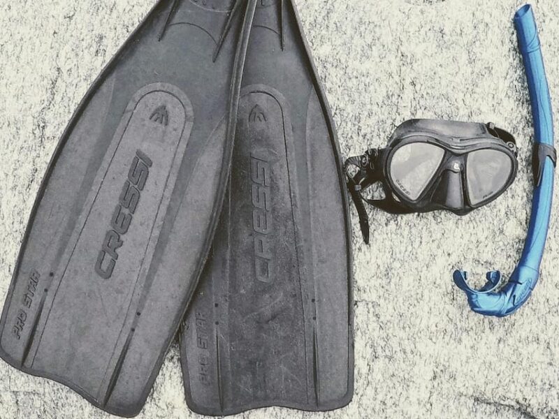 Snorkelling & Marine Biology Experience in the Cinque Terre - Potential Improvements Based on Practical Feedback