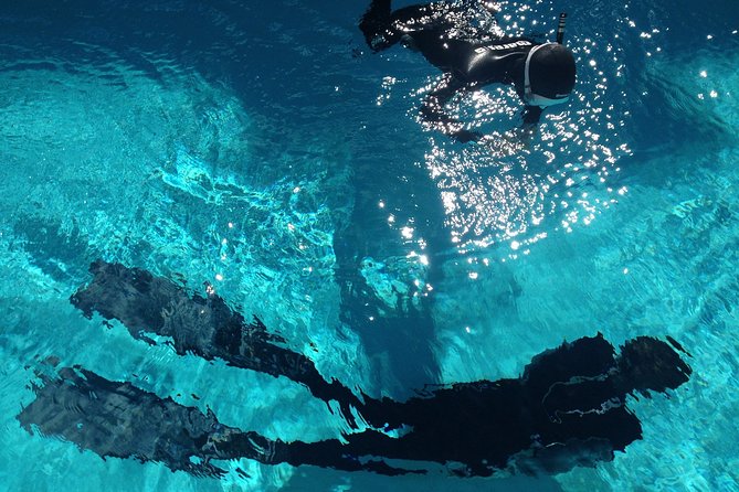 Snorkelling Trip at Ponta de São Lourenço Protected Area - Key Points