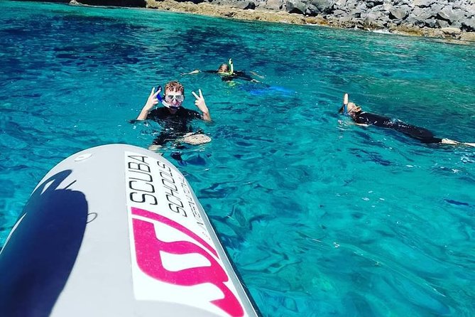 Snorkelling Trip at Ponta de São Lourenço Protected Area - What Marine Life Can Be Seen?