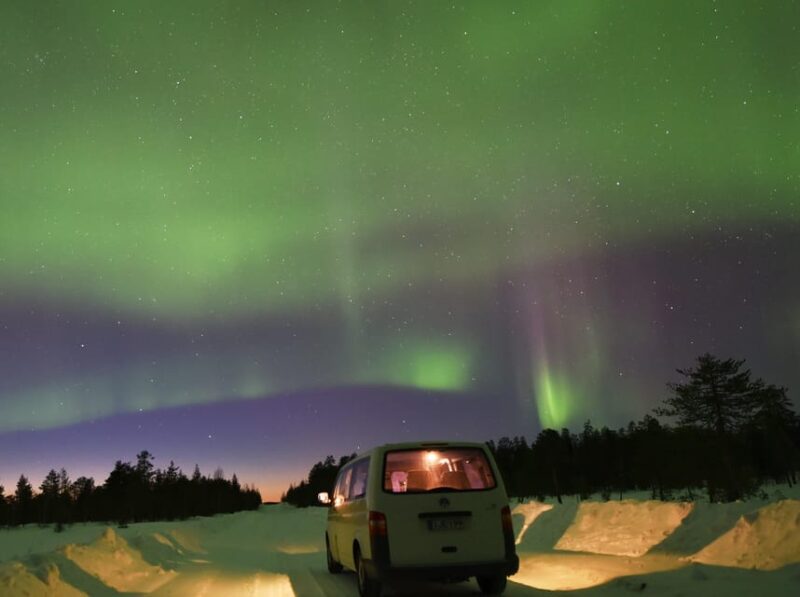 Snow Activities and reindeer feeding in nature - Weather, Aurora, and Best Time to Book