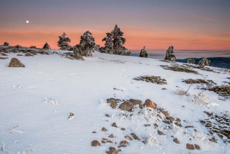 Snow getaway from Valencia: a day of sledding and fun - The Snowy Area at Valdelinares: Endless Sledding Fun
