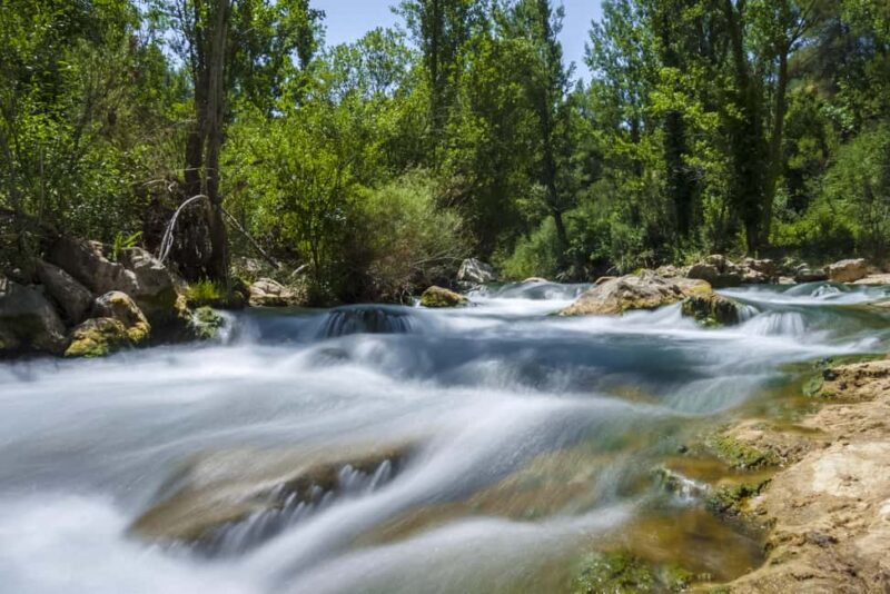 Snow getaway from Valencia: a day of sledding and fun - The Logistics and Convenience of the Tour