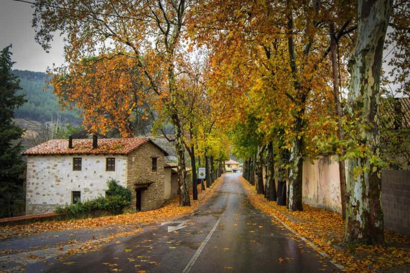 Snow getaway from Valencia: a day of sledding and fun - Why Choose This Snow Day Trip from Valencia