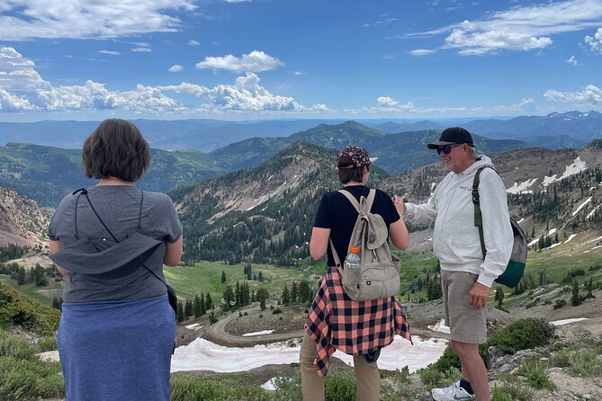 Snowbird Summer Excursion - Key Points