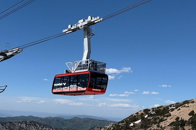 Snowbird Summer Excursion - Tram Ride to the Mountain’s Peak