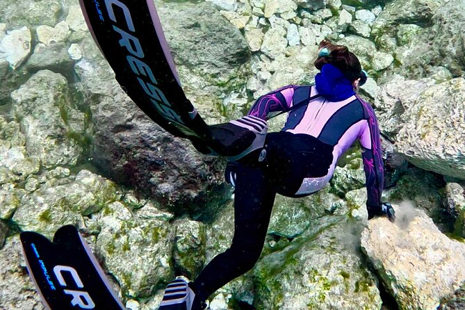 Snowbirds Paddle Club Guided Kayak and Paddleboard Sessions - The Eco & Snorkel Cruise Option on Rainbow River