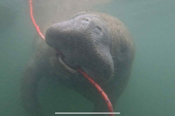 Snowbirds Paddle Club Guided Kayak and Paddleboard Sessions - Practical Details and Booking Flexibility