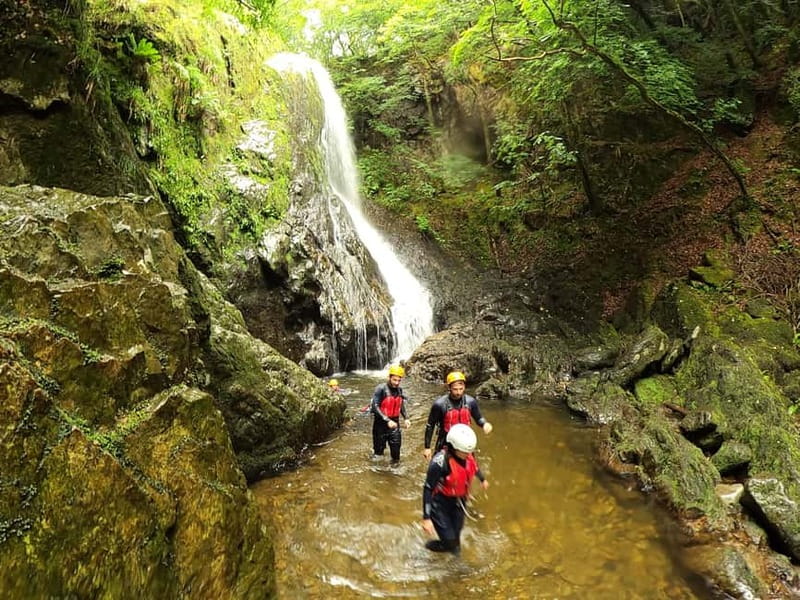 Snowdonia: Thrilling Gorge Walking Tour with Expert Guides - Swimming in Pristine Mountain Pools