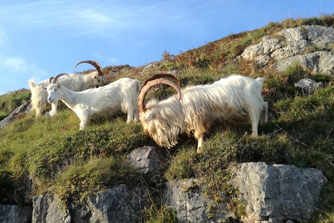 Snowdonia's Mountains Lakes & Mines Private Tour - Entering the Snowdonia National Park’s Glacial Valley