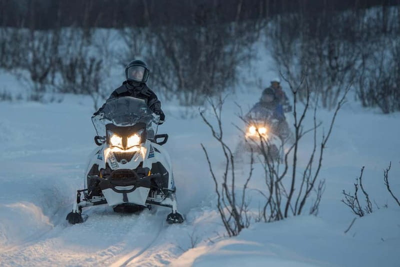 Snowmobile Adventure Abisko (Drive your own) - The Review Highlights: What Makes This Tour Stand Out